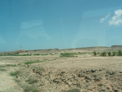 P4030106x