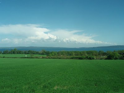 P4140154x